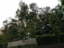 Eco Sanctuary (D23), Condominium #155335202
